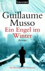 Ein Engel im Winter