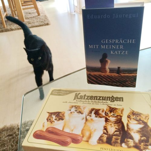 gespräche mit meiner katze
