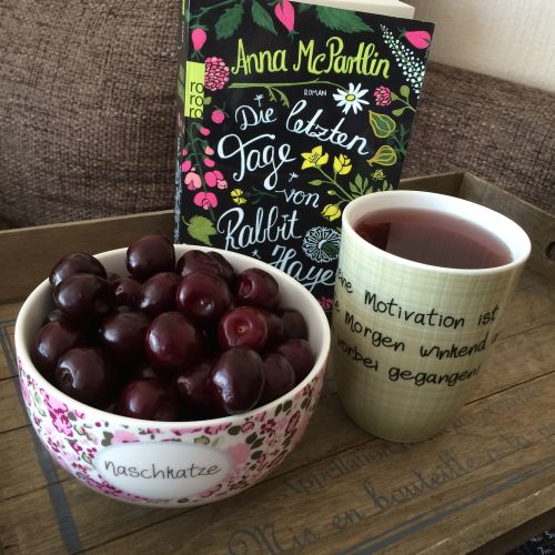 die letzten tage von rabbit hayes 02 klein