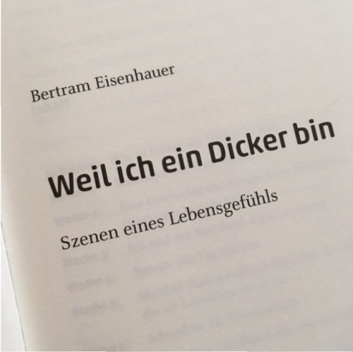 weil ich ein dicker bin 3